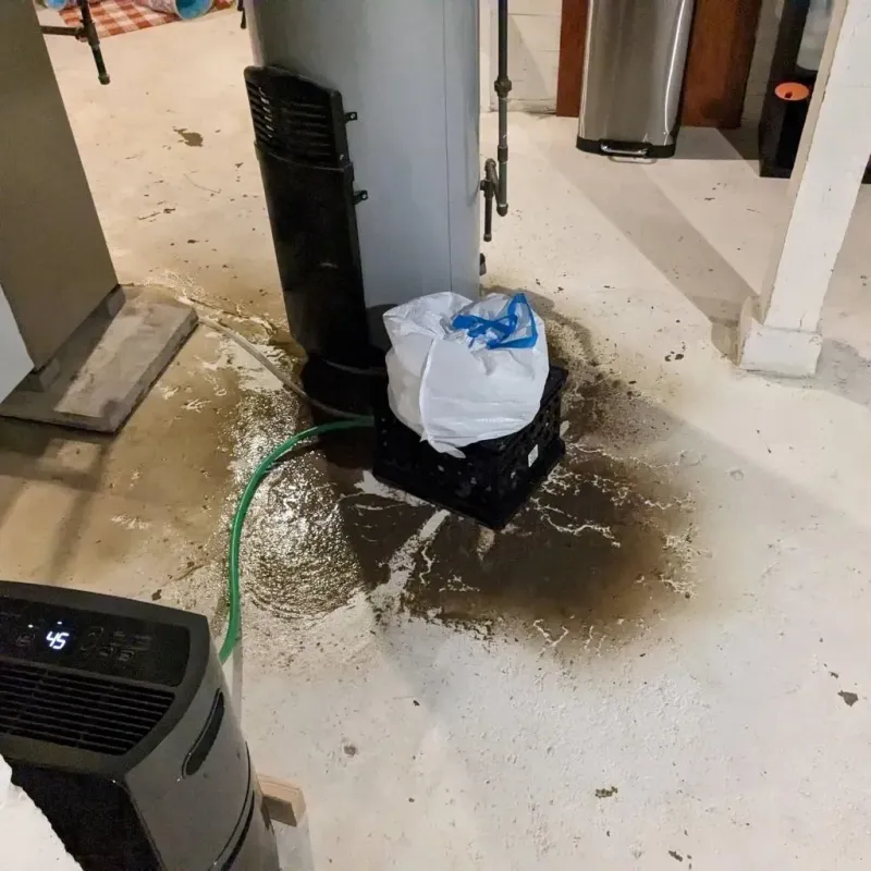 Sewage Backup Cleanup Service in Kenwood, OK